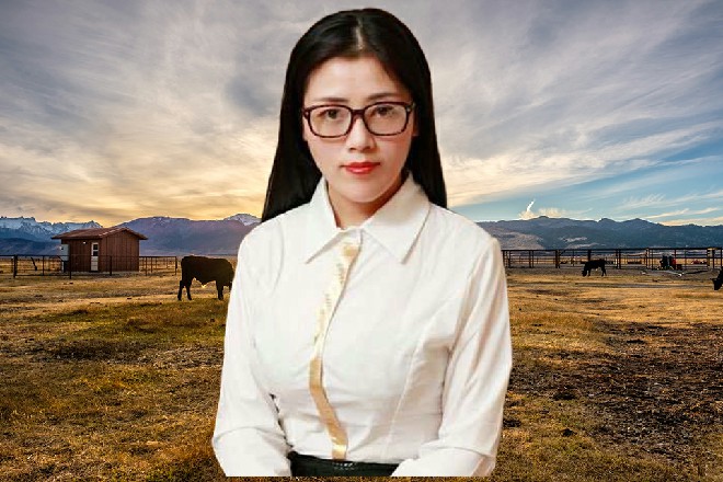 青龙会乱成一团，完全被若依这种不要命的打法给打傻了