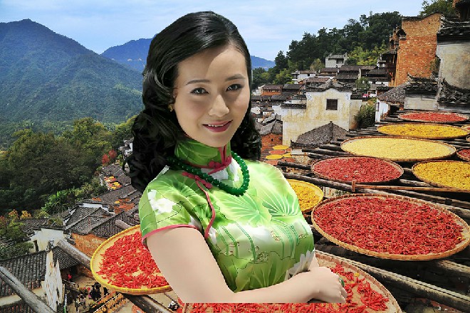 何素一挥令旗，那些神弓射手立刻停下了洒钱的败家行为