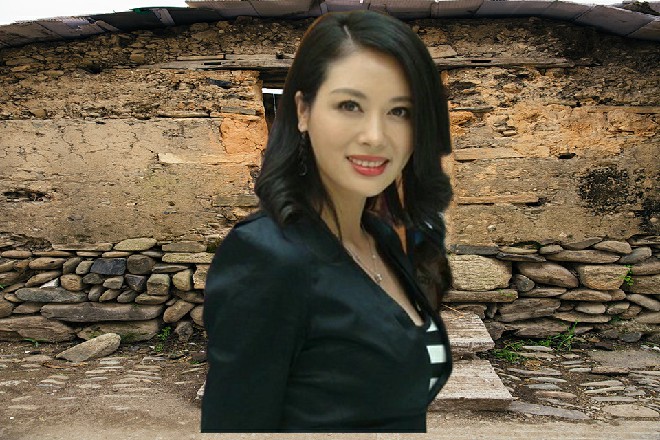 天空中一道流星突然从天而降，凶狠地向着地面坠落下来