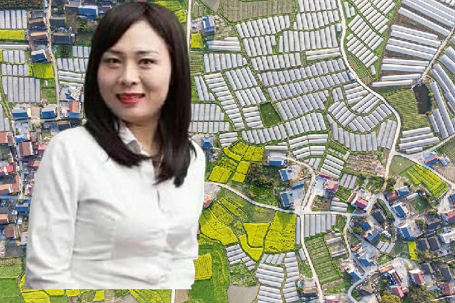 你们，会是敌人么她不是说，基本上见不到了么，