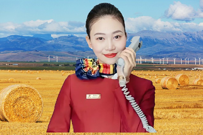 有你们在主公身边保护他，他的安危自然也不用担心了