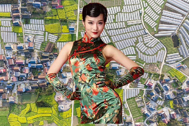 说话间，从天上忽然落下了十几个身影，围在了他们的左右