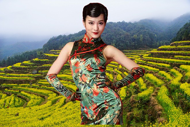 这些狗仔队的心里已经变态到了极点，一个劲地想找骂