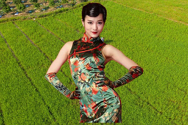 艾伦倒退了几步，身子撞在墙上，直接把墙壁压出了裂痕来