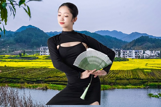 秦爷，我家里有块紫窗帘，我看料子不错，要不我给你偷来